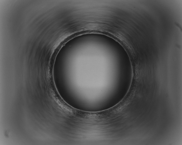 X0000101950880200807181448