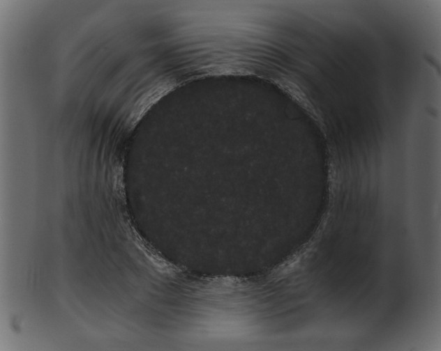 X0000101950881200807181448