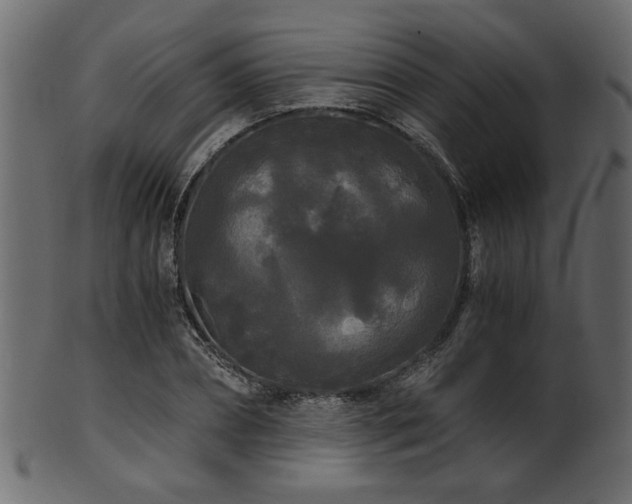 X0000101950882200807181448