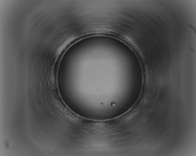 X0000101950883200807181448