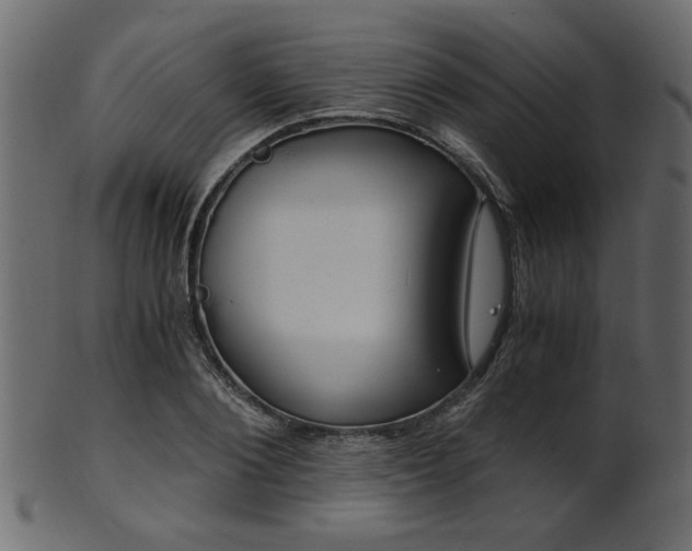 X0000101950884200807181448