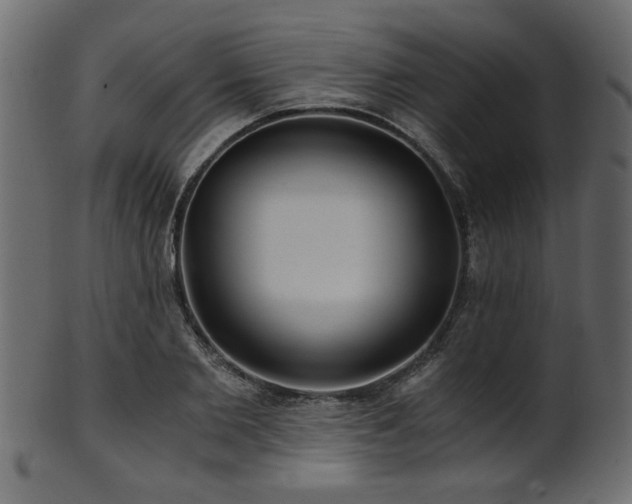 X0000101950885200807181448