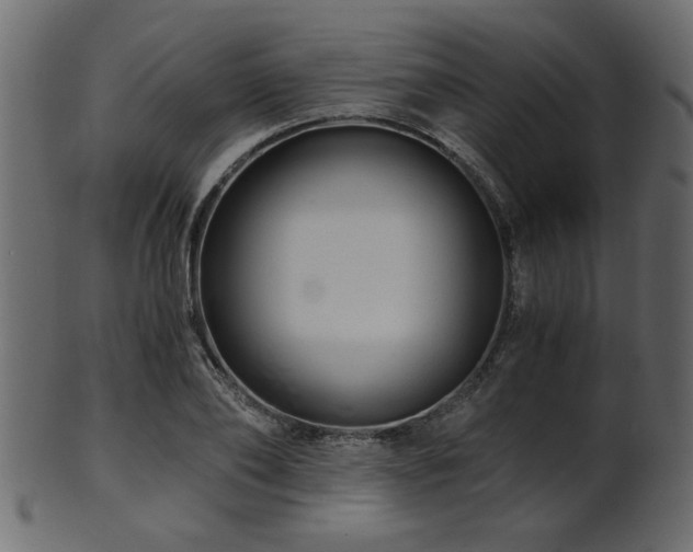 X0000101950886200807181448