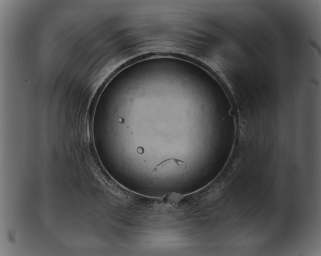 X0000101950887200807181448