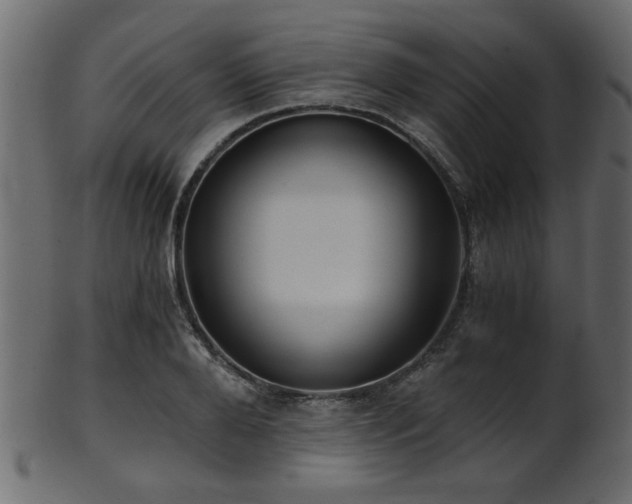 X0000101950888200807181448