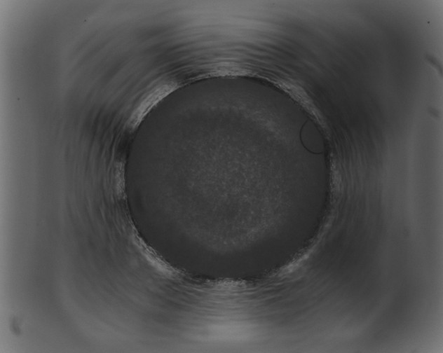 X0000101950889200807181448