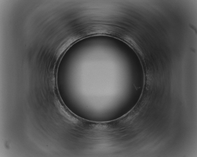 X0000101950890200807181448