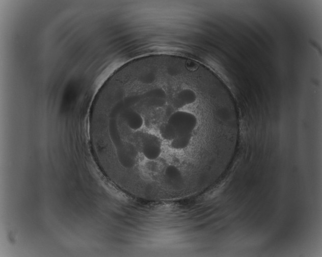 X0000101950891200807181448