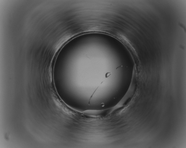 X0000101950892200807181448