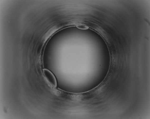 X0000101950893200807181448