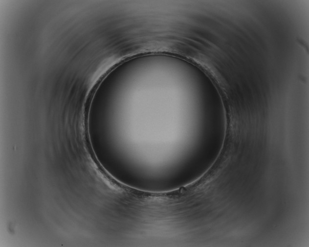 X0000101950894200807181448