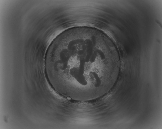 X0000101950895200807181448