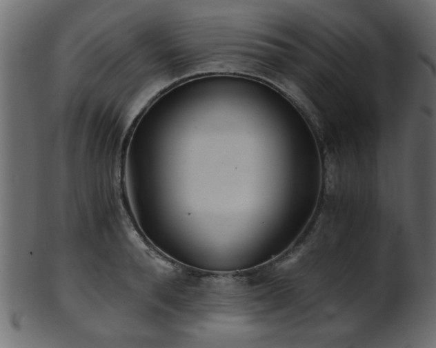 X0000101950896200807181448