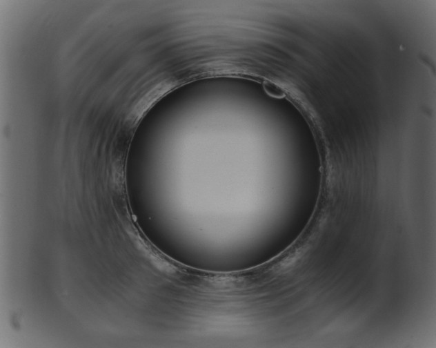 X0000101950897200807181448