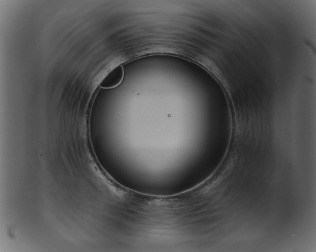 X0000101950898200807181448