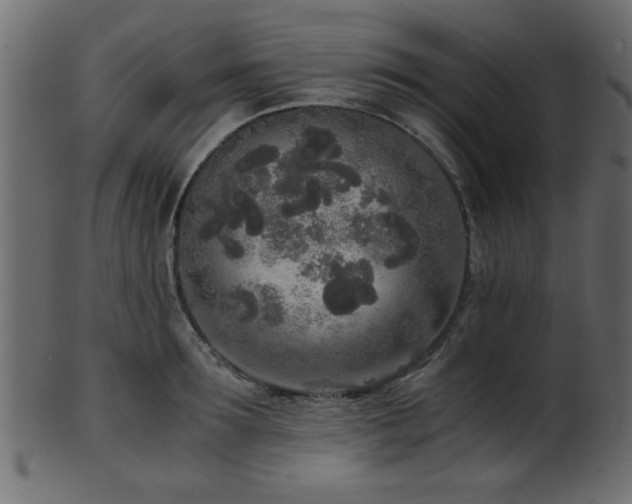 X0000101950899200807181448