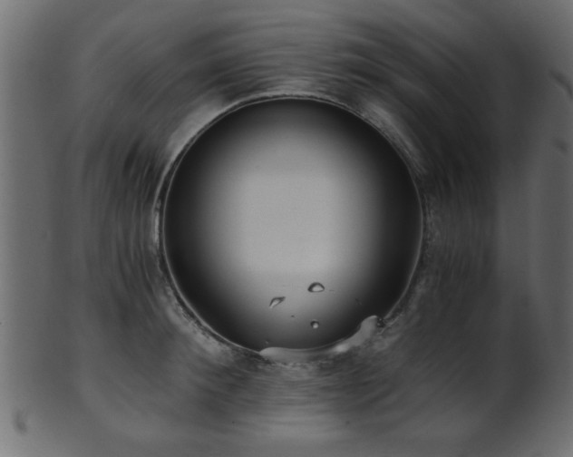 X0000101950900200807181448