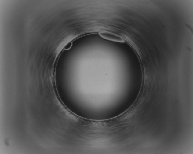 X0000101950901200807181448