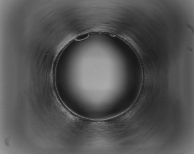 X0000101950902200807181448