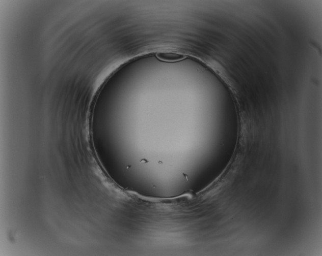 X0000101950904200807181448