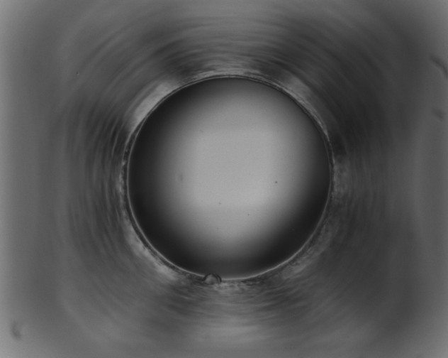 X0000101950906200807181448