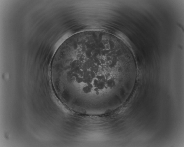 X0000101950907200807181448