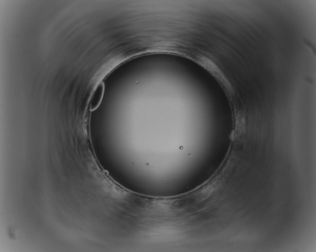 X0000101950908200807181447