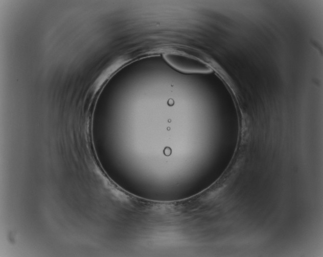 X0000101950909200807181447