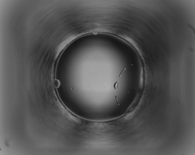 X0000101950910200807181447