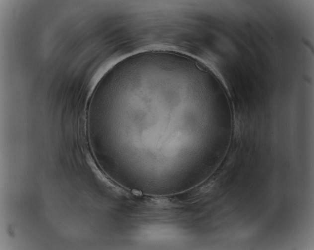 X0000101950911200807181447