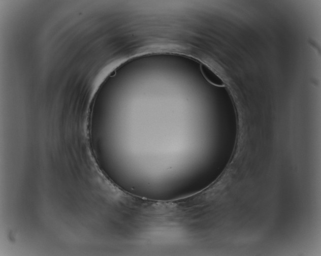 X0000101950912200807181447