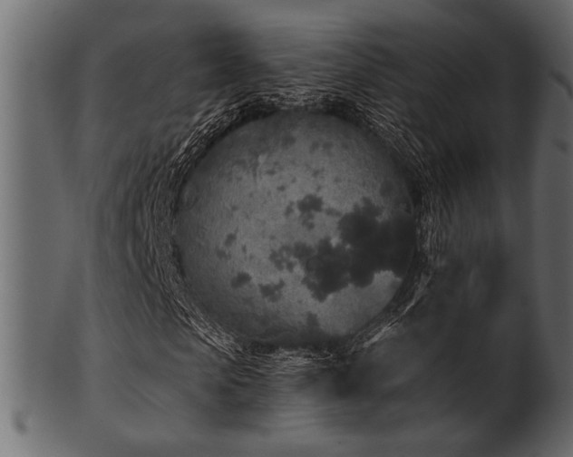 X0000101950913200807181447