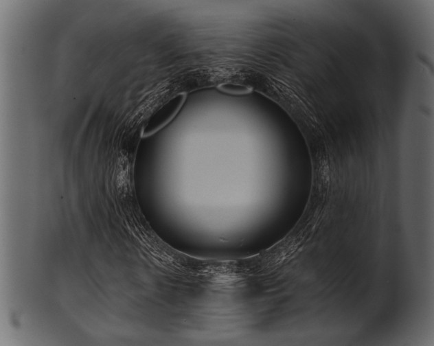 X0000101950914200807181447