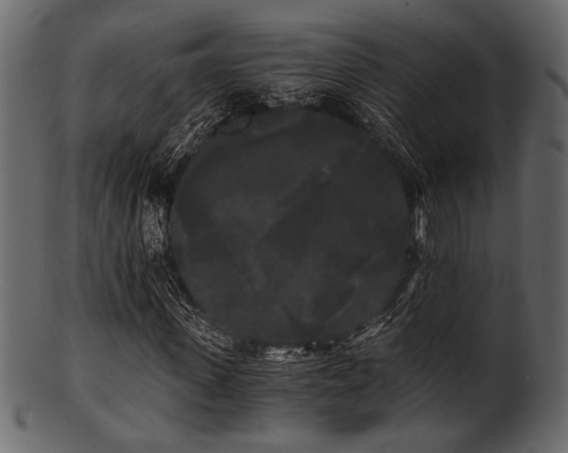 X0000101950915200807181447