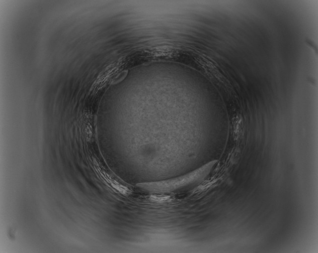 X0000101950916200807181447