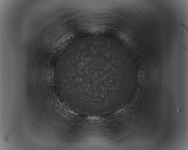 X0000101950917200807181447