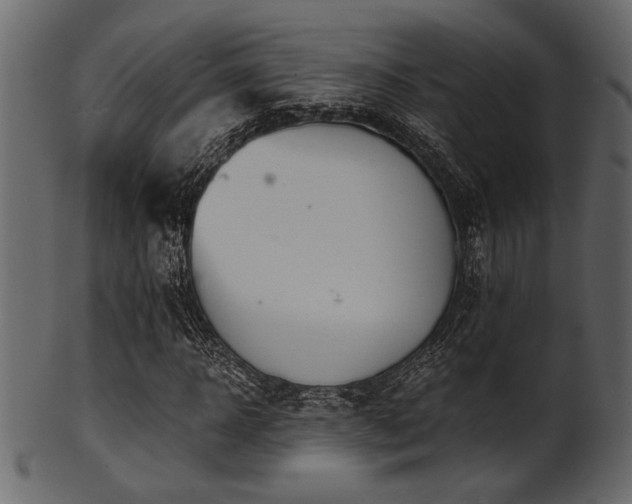 X0000101950918200807181447