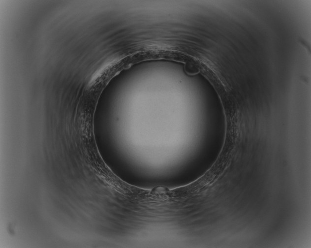 X0000101950919200807181447