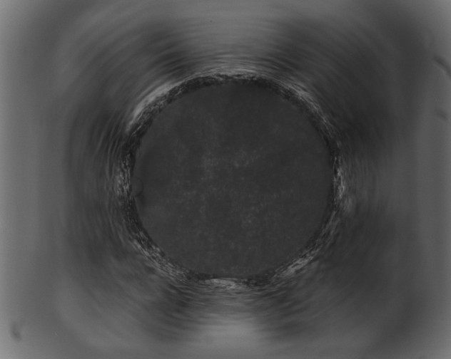 X0000101950920200807181447