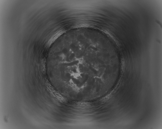 X0000101950921200807181447