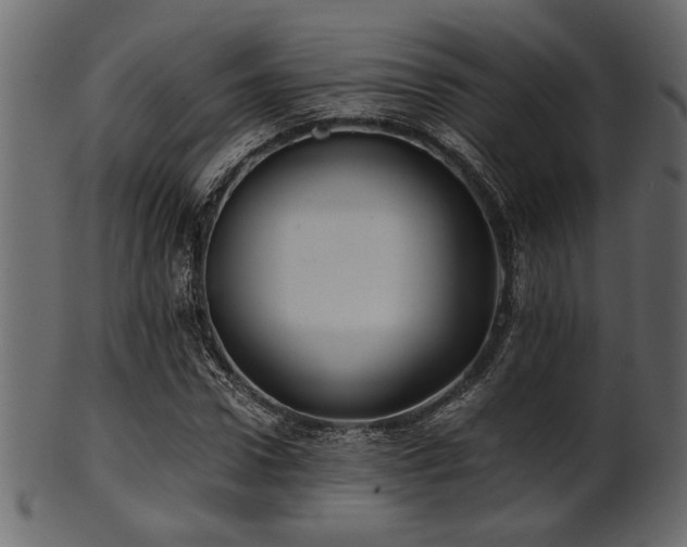 X0000101950922200807181447