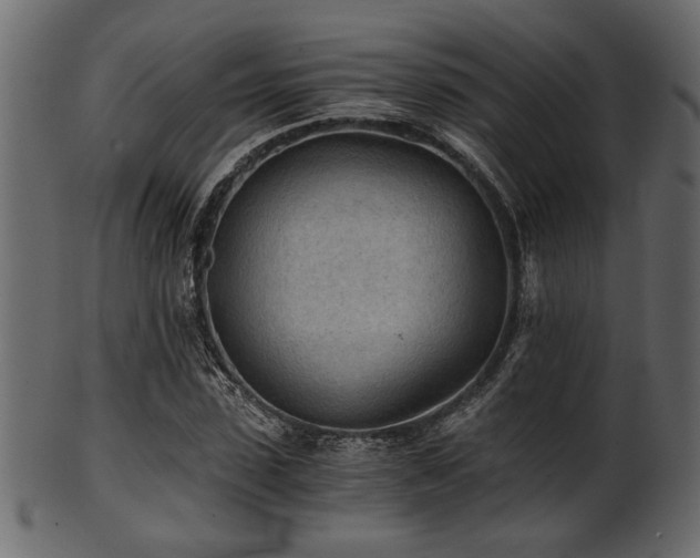 X0000101950923200807181447