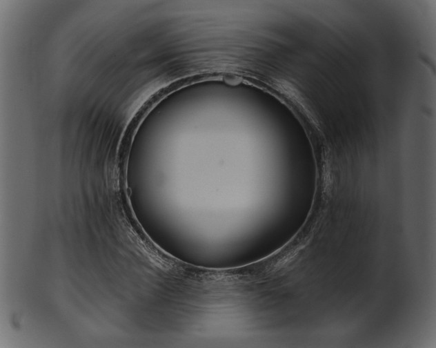 X0000101950924200807181447