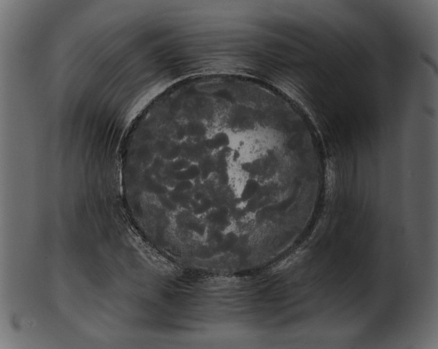 X0000101950925200807181447