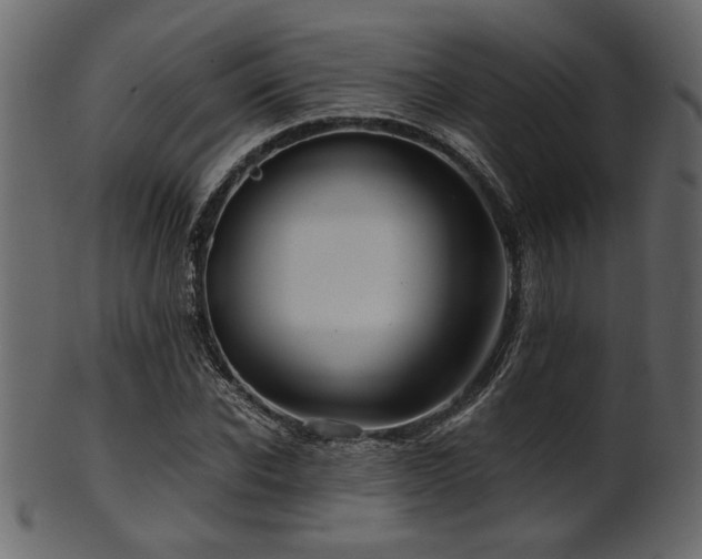 X0000101950926200807181447