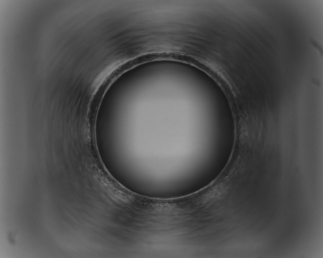 X0000101950927200807181447