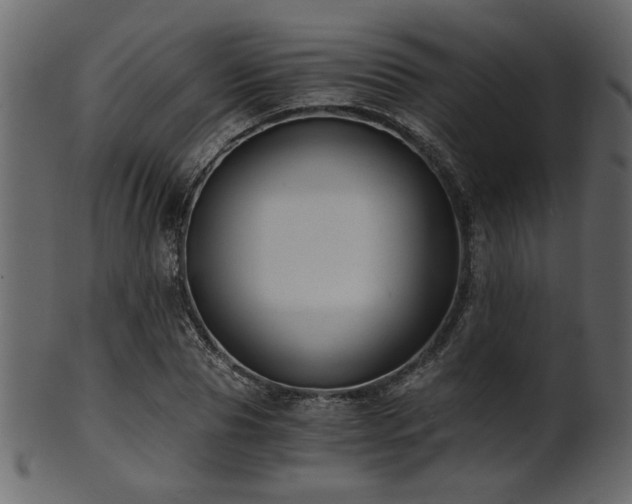 X0000101950929200807181447