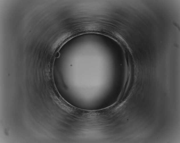 X0000101950930200807181447