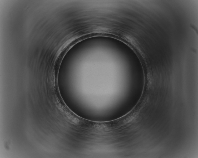 X0000101950931200807181447