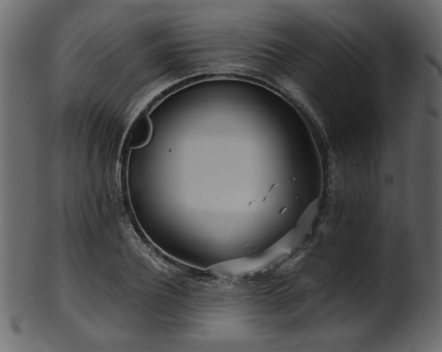 X0000101950932200807181447